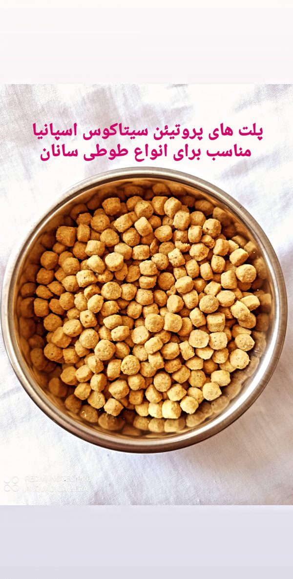 پلت های پروتئین سیتاکوس - high protein - طوطی سانان و پرندگان - Image 2