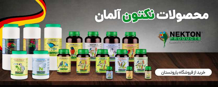 محصولات نکتون