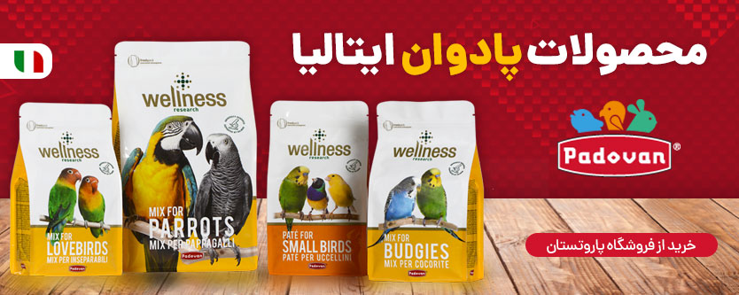 محصولات پادوان ایتالیا