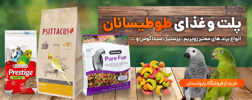 انواع پلت و غذای طوطیسانان