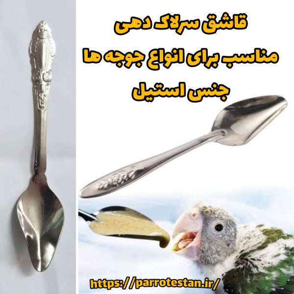 قاشق سرلاک دهی جوجه - Image 2