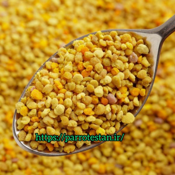 گرده گل طبیعی beepollen مخصوص پرندگان زینتی | مکمل تقویتی ۱۰۰٪ ارگانیک مناسب طوطی، قناری، فنچ، لوری‌کیت و...