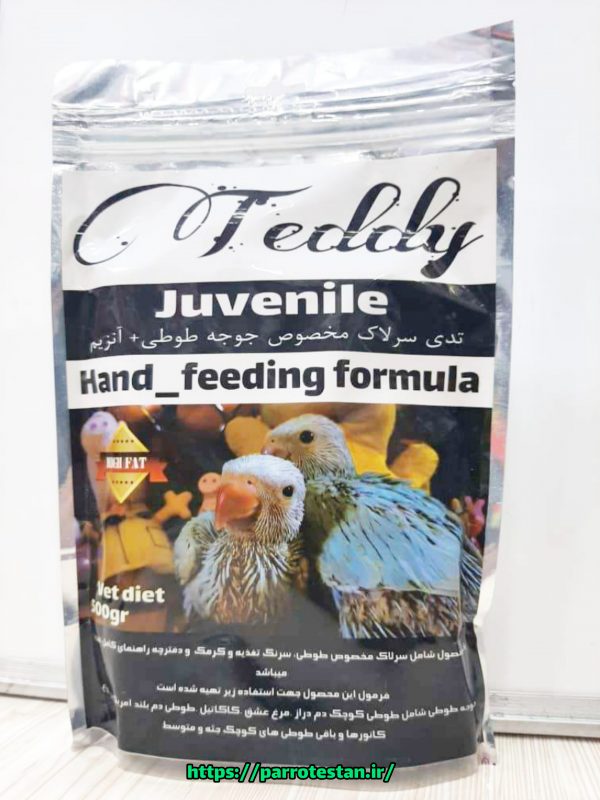 سرلاک طوطی تدی teddy