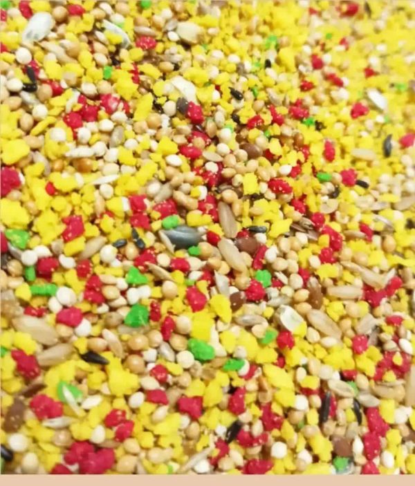 خوراک منیتوبا نرم غذای میوه ای  مناسب برای انواع پاراکیت هاPastoncino - Image 2