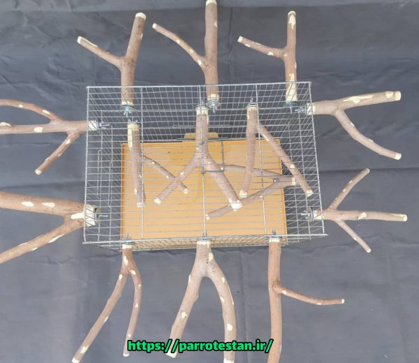 چوب دوشاخ طبیعی