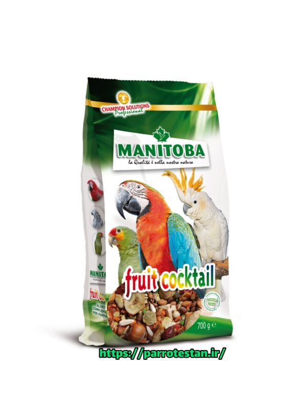 دان مخلوط میوه فروت کوکاتیل منیتوبا مخلوط میکس حاوی میوه پلت و آجیل انواع طوطیسانانfruit cocKtail