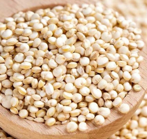کینوا Quinoa - Image 2