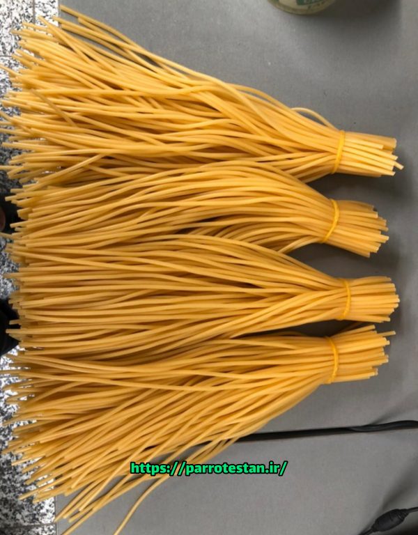 کرمک سرلاک دهی طوطی سانان