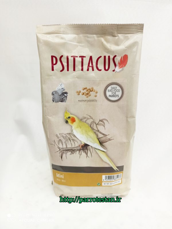 پلت مینی سیتاکوس اسپانیاMini psittacus