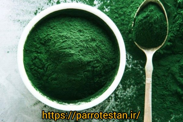 spirulinaQuikoجلبک  اسپیرولینا مکمل داروی سبز اسپیرولینا ،کوئیکو - Image 2