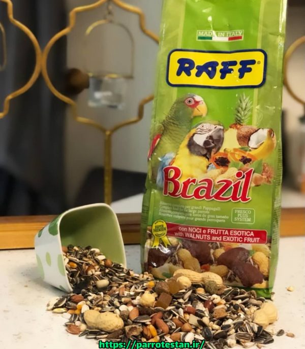 دان مخلوط خوراك طوطي سانان بزرگ سوپر پرمیوم برزیل super premium Brazil