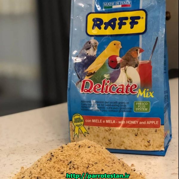 مکمل غذایی تخم مرغی میوه ای غنی شده با عسل ویژه تمامی پرندگان راف  Delicate