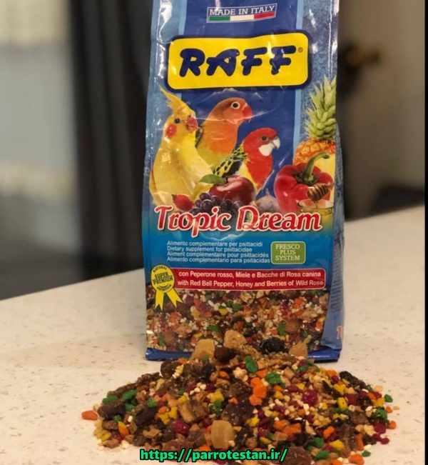غذای مخصوص عروس هلندی و طوطی برزیلی  Tropic Dream