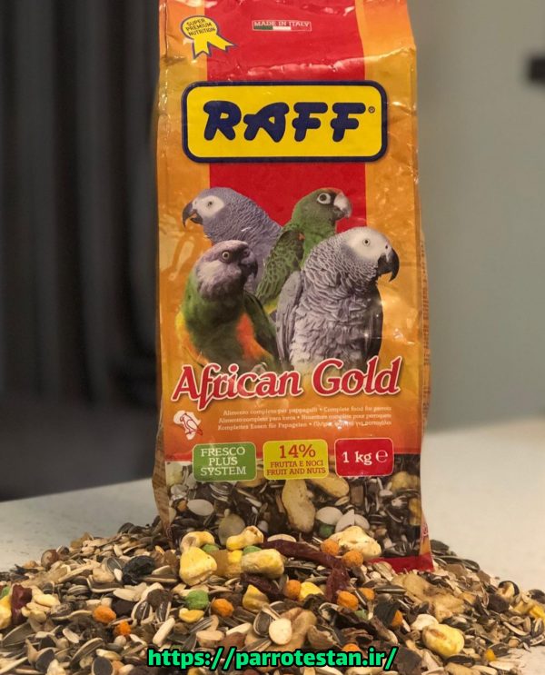 دان مخلوط  خوراک ویژه راف طوطی سانان African gold