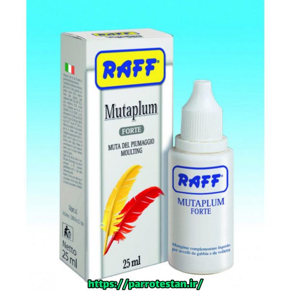 قطره پرسازی مخصوص دوره تو لک بری و پردرآوری همراه با ویتامین رافRAFF MUTAPLUM FORTE
