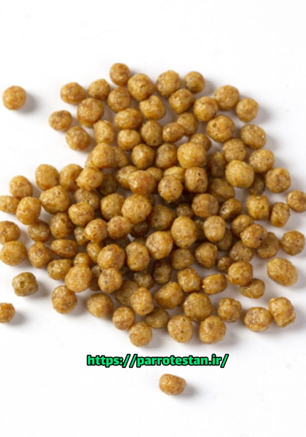 پلت لوری  غذای لوری خوراک لری پرلزPsittacus Lories GRAIN  - Image 2
