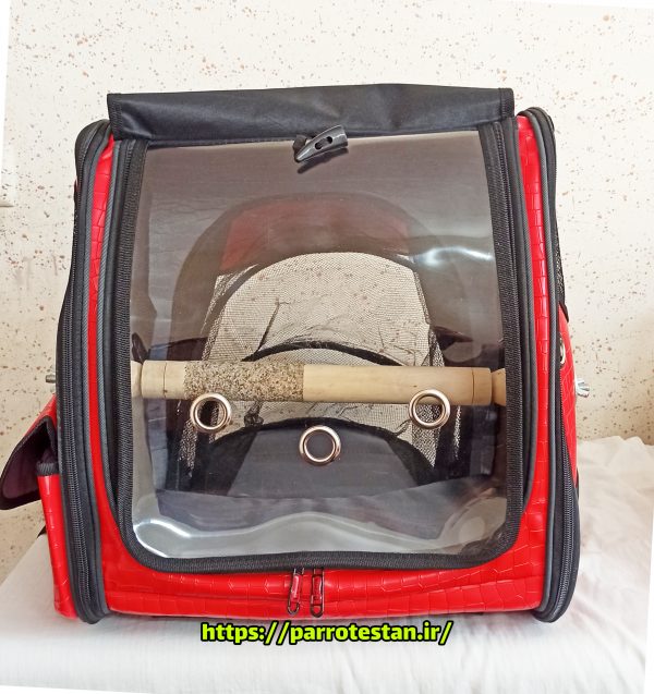 کوله حمل طوطی و پرندگان زینتی