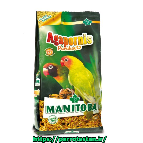 Agapornis Parakeets دان مخلوط منیتوبا مناسب برای انواع طوطی سانان آفریقای مانند طوطی برزیلی و مرغ عشق