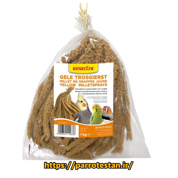 ارزن خوشه ای بنلوکسGELE TROSGIERST MILLET EN GRAPPES JAUNE YELLOW MILLETSPRAYS
