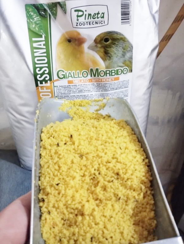 غذای تخم مرغی عسلی پینتاGiallo Morbido Mielato  - Image 3