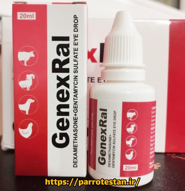 قطره چشمی GenexRal | درمان فوری عفونت و التهاب چشم حیوانات خانگی