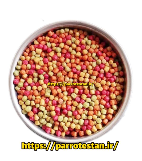 پلت میوه ای رنگی طوطی