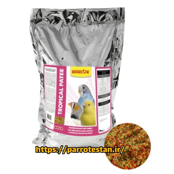 BEVO Tropical Patee 1KG – غذای میوه‌ای نرم مخصوص پرندگان زینتی ترکیبی مغذی از میوه‌های خشک، تخم‌مرغ، ویتامین‌ها و دانه‌ها برای درخشش پر و سلامت پرنده - Image 2