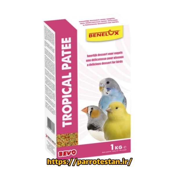 BEVO Tropical Patee 1KG – غذای میوه‌ای نرم مخصوص پرندگان زینتی ترکیبی مغذی از میوه‌های خشک، تخم‌مرغ، ویتامین‌ها و دانه‌ها برای درخشش پر و سلامت پرنده