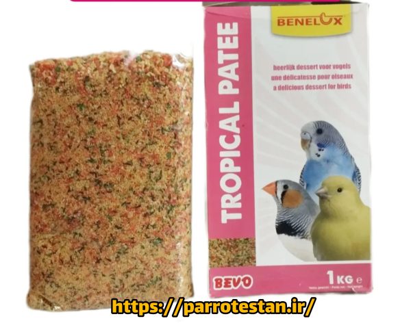 BEVO Tropical Patee 1KG – غذای میوه‌ای نرم پتیه تخم مرغی میوه ای بنلوکس مخصوص پرندگان زینتی ترکیبی مغذی از میوه‌های خشک، تخم‌مرغ، ویتامین‌ها و دانه‌ها برای درخشش پر و سلامت پرنده - Image 4