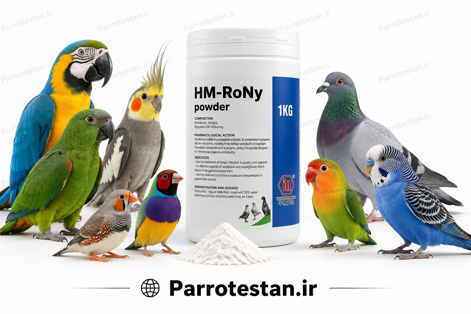 پودر رونیدازول و نیستاتین(آنتی فونگال)HM-RoNy Powder | ضد قارچ و درمان تریکوموناس پرندگان زینتی، کبوتر و طیور