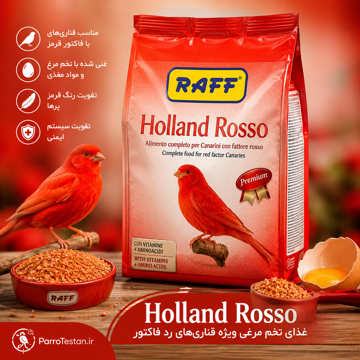 غذای تخم مرغی قرمز راف Holland Rosso | افزایش رنگ، آمادگی جفت و رشد جوجه قناری - Image 2