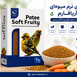 غذای نرم میوه‌ای Patee Soft Fruity آریافارم | مناسب قناری، فنچ، سهره و طوطی‌سانان - 250گرم